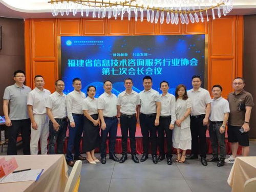 信息技術(shù)咨詢(xún)服務(wù) 陳維芳會(huì)長(zhǎng)新春致辭，展望行業(yè)未來(lái)